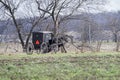 Amish horse drawn black buggy spoked,wheels,country side,farmland Royalty Free Stock Photo
