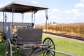 Amish horse-drawn buggy