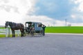 Amish horse drawn  Buggy Royalty Free Stock Photo