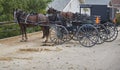 Amish horses and buggies Royalty Free Stock Photo