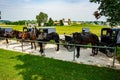 Amish Horses and Buggies Royalty Free Stock Photo