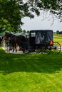 Amish Horses and Buggies Royalty Free Stock Photo