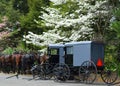 Amish Horses and Buggies in Lancaster, PA