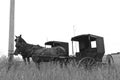 Amish horses and buggies tied to a telephone post Royalty Free Stock Photo