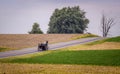 An Amish Man Traveling in an Open Horse and Buggy