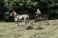 Amish Man