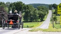 Amish Open Horse and Buggy with 2 Amish Adults in it trotting down the Hill on a Sunny Day