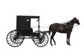Amish transport Royalty Free Stock Photo