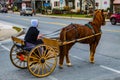 Amish Woman with Two Wheel Buggy8