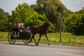 Amish Youths in 2 Wheel Wagon