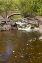 Amity Creek Bridge & Falls Royalty Free Stock Photo