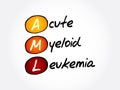 AML - Acute Myeloid Leukemia, acronym Royalty Free Stock Photo