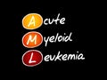 AML - Acute Myeloid Leukemia acronym