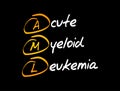AML - Acute Myeloid Leukemia acronym Royalty Free Stock Photo