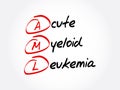 AML - Acute Myeloid Leukemia acronym, medical concept Royalty Free Stock Photo