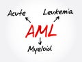 AML - Acute Myeloid Leukemia acronym, medical concept background Royalty Free Stock Photo