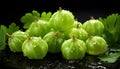 Amla berries with splashes and water drops on dark background