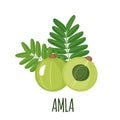 Amla icon in flat style isolated on white