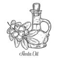 Amla Indian gooseberry oil, Phyllanthus emblica.