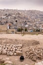 Amman - Jordan Royalty Free Stock Photo