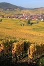 Ammerschwihr in the vineyard of Alsace