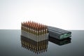 .223 ammo 50 count Royalty Free Stock Photo