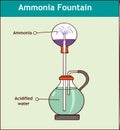 Ammonia fountain experiment to demonstrate the solubility of ammonia gas. Fully labelled diagram