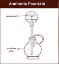 Ammonia fountain experiment to demonstrate the solubility of ammonia gas. Fully labelled diagram