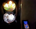 Ammonite fossil and Aragonite for display at the Perot Museum, Dallas