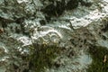 Ammonite fossil closeup Royalty Free Stock Photo