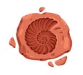 Ammonite, fossil rock with spiral sea shell imprint. Archeology prehistoric art on stone with fossilized natural