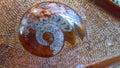 Ammonite Gemstone Background