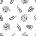 Ammonite trilobite fern vector seamless pattern background. Hand drawn spiral-form shell cephalopod and arthropod ribbed