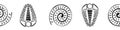 Ammonite trilobite vector seamless border. Hand drawn banner of spiral-form shell cephalopod and arthropod ribbed