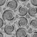 Ammonites on a gray background. Seamless pattern for design of clothes, printing on wrapping paper