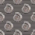 Ammonites on a striped background. Seamless pattern for design of clothes, printing on wrapping paper