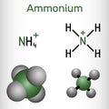 Ammonium cation, azanium molecule. It is positively charged polyatomic ion. Structural chemical formula and molecule model