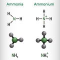 Ammonium cation, NH4 and ammonia, NH3 molecule. Structural chemical formula and molecule model Royalty Free Stock Photo