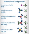 Ammonium compounds: ammonium bicarbonate, ammonium carbamate, ammonium sulfate, ammonium nitrate, ammonium chloride molecule.