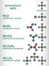 Ammonium salts: ammonium bicarbonate, ammonium carbamate, ammonium sulfate, ammonium nitrate, ammonium chloride molecule. Skeletal