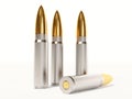 Ammunition Royalty Free Stock Photo