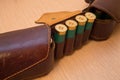 Ammunition belt Royalty Free Stock Photo