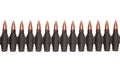 Ammunition belt Royalty Free Stock Photo