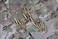 Ammunition on camoflage