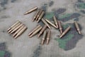 Ammunition on camoflage