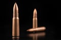 Ammunition of a high-speed rifle. Cartridges for a military rifle Royalty Free Stock Photo