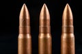 Ammunition of a high-speed rifle. Cartridges for a military rifle