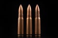 Ammunition of a high-speed rifle. Cartridges for a military rifle Royalty Free Stock Photo