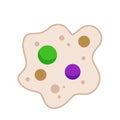 Amoeba cell. Small unicellular animal.