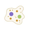 Amoeba cell. Small unicellular animal. Virus and bacteria.